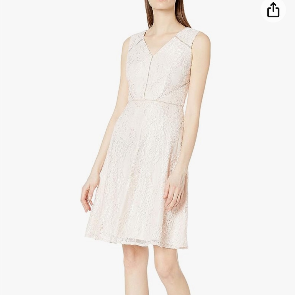 Adrianna Pappel Rose Lattice Lace Fit and Flare Dress